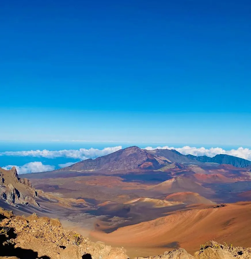 Aloha Glamp's Maui Rooftop Adventure Paia